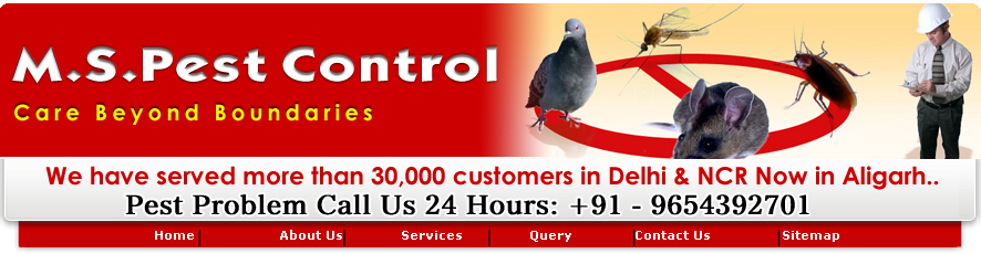 M.S.Pest Control Aligarh